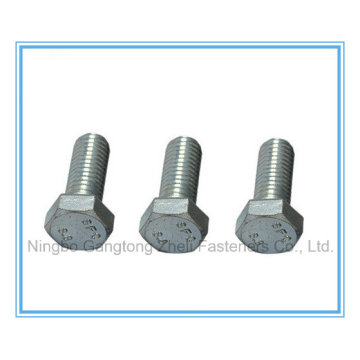 M5-M45 of Hexagon Head Bolts with Carbon Steel